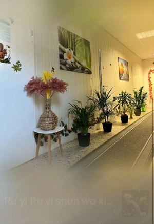 Asia Massage Zhu Wellness-Massage