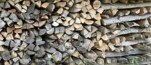 Brennholz weich ab 58 Euro Ster