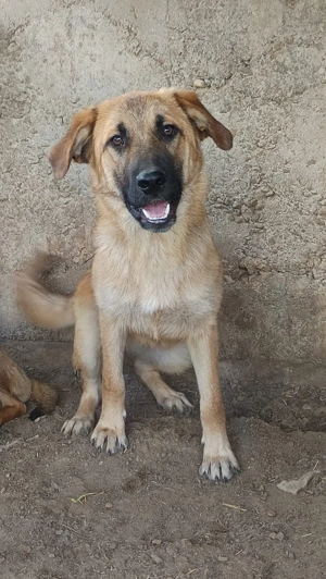 Anja ca. 45 cm - unsere Knuddelmaus