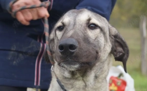 Matze erobert dein Herz im Sturm! Bild 2