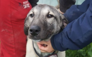 Matze erobert dein Herz im Sturm! Bild 4