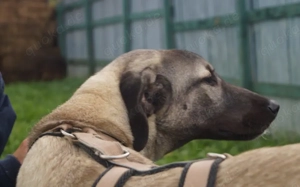 Matze erobert dein Herz im Sturm! Bild 9