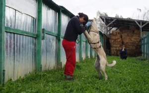 Matze erobert dein Herz im Sturm! Bild 6