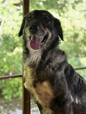 Erika ca. 50 cm   die Schmusebacke