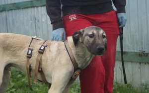 Matze erobert dein Herz im Sturm! Bild 7