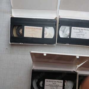 5 Pferde Videos soweit noch gut erhalten