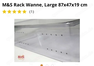 Schöne Königspython zu verkaufen