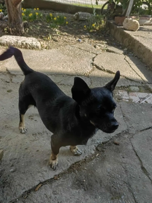 Ich passe ins Handgepäck!