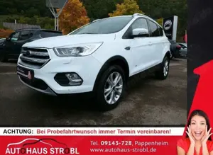 Ford Kuga 2,0 4x4 AHK/Active Park Assist/Mirror Link
