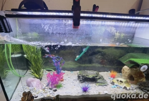 Aquarium mit Zubehör (oder Einzelteile) 