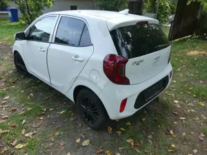 Kia Picanto Picanto 1.0 Aut. Vision Bild 4