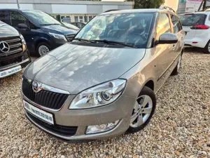 Skoda Fabia Combi Fresh DSG 1Hand PDC Sitz Hz