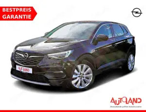 Opel Grandland X 1.6 Turbo LED Navi Totwinkel Kamera
