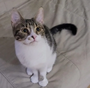 Liebe Zoia sucht behütetes Für-Immer-Zuhause