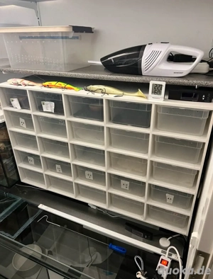 Rack, Aufzucht, Terrarack, Terrarium