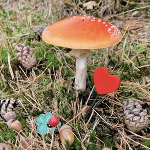 Glückliche Liebe gesucht