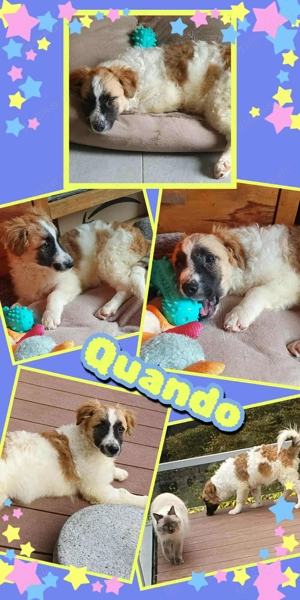 Süßer Quando möchte besucht werden!