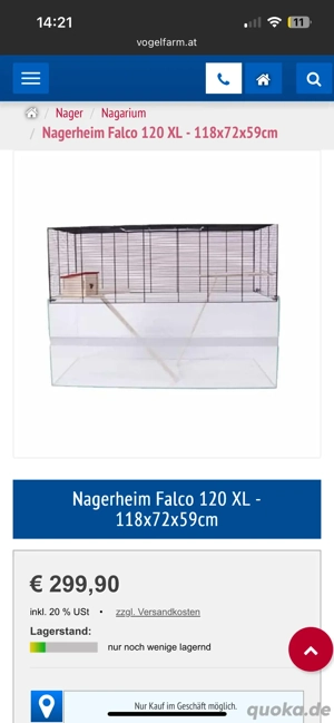 Wüstenrennmaus mit gehege