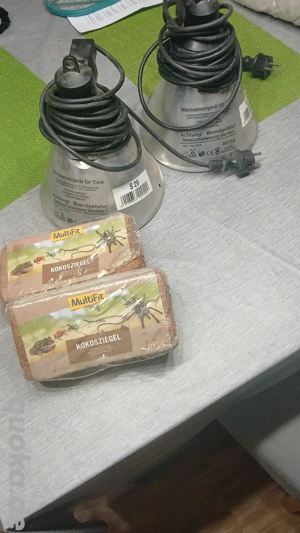 Terrarium utensilien 