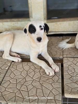 Beverly bereit fürs Abenteuer Leben 