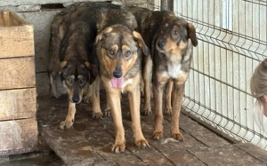 Zeig Cuan, wie schön die Welt sein kann - er wartet auf dich