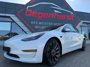 Tesla Model 3 Performance AWD Dual  Matrix