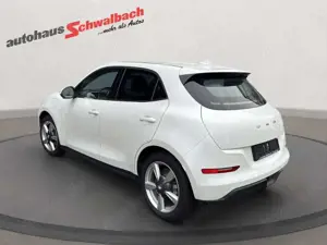 GWM ORA 03 300 PRO / Privatnutzung / Allwette Bild 4