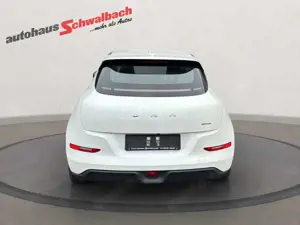 GWM ORA 03 300 PRO / Privatnutzung / Allwette Bild 5