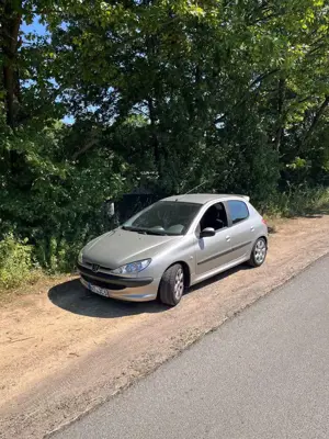 Peugeot 206 75 Platinum