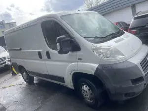 Fiat Ducato Multijet 250 Bild 3