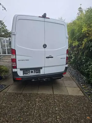 Mercedes-Benz Sprinter 210 CDI 906.613 WORKER Bild 4