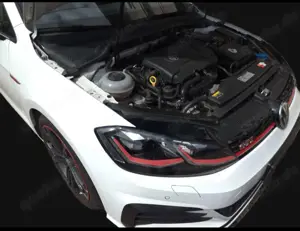 Volkswagen Golf GTI (BlueMotion Technology) Performance