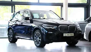 BMW X5 xDrive30d M Sport (G05) *LED*360° Kamera*Navi Bild 5