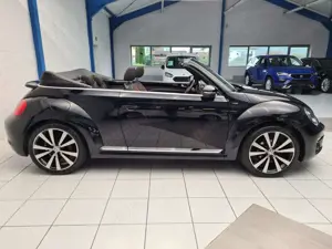 Volkswagen Beetle Cabrio Allstar BMT | Xenon | NAVI Bild 5