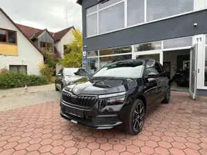 Skoda Kamiq Monte Carlo, Kamera, Pano