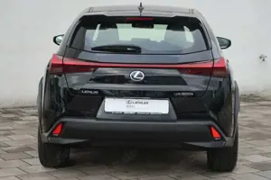 Lexus UX 300e Bild 5