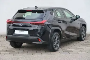 Lexus UX 300e Bild 4
