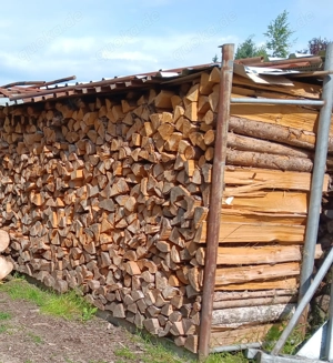 schönes trockenes Brennholz 1 Meter lang gespalten