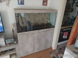 aquarium 280 liter