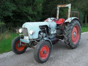 EICHER KÖNIGSTIGER EM300S, TÜV neu, Schnellgang, Oldtimer-Traktor (Deutz, Fendt, Lanz, Kramer, IHC)
