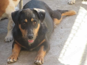 Sebastian ca. 35 cm   der Behutsame Bild 3