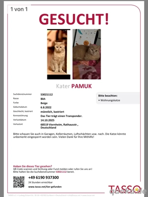 Schmerzlich vermisst ich bitte um HILFEEEE!!