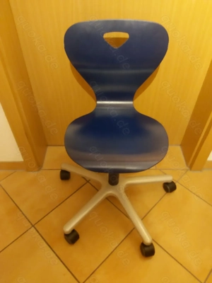 Schreibtischstuhl "Woody" von Moll