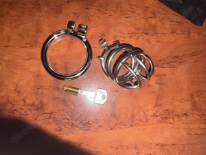 Suche Weibliche Herrin (Dom)