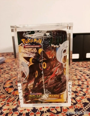 Pokémon Drachenwandel Display