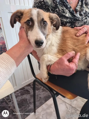 Finja sucht ein ruhiges zu Hause 