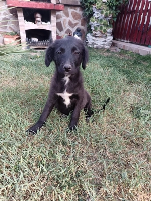 Kate ein liebes Mädchen  Bild 3 Kate ein liebes Mädchen  Bild 3