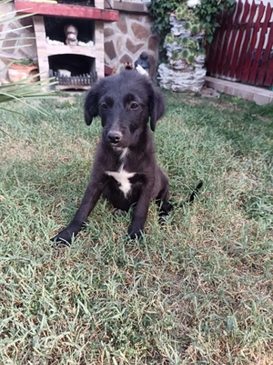 Kate ein liebes Mädchen  Bild 4 Kate ein liebes Mädchen  Bild 4