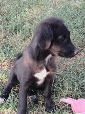 Kate ein liebes Mädchen  Bild 2 Kate ein liebes Mädchen  Bild 2