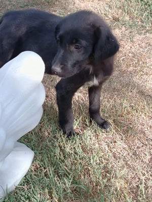 Kate ein liebes Mädchen  Bild 5 Kate ein liebes Mädchen  Bild 5